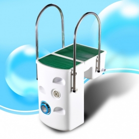 Swimming pool water filter