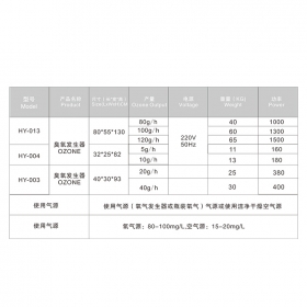 Ozone  Generator disinfection system for pool 